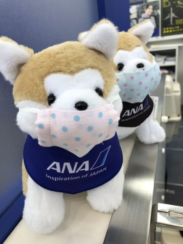 秋田犬